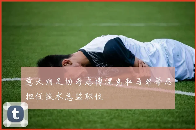 意大利足协考虑博涅克和马尔蒂尼担任技术总监职位